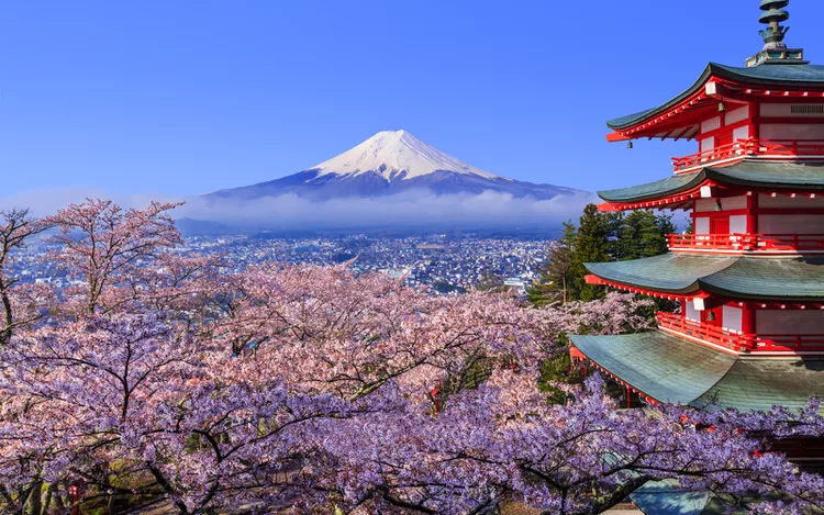Cherry Blossom Festival 2023: Spectacular Blooms & Cultural Delights!