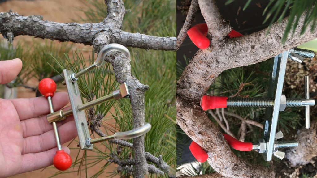 bonsai branch bender