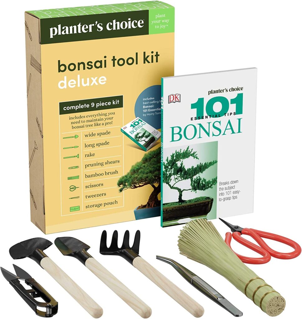 Bonsai Tools 101: The Ultimate Starter Kit for Beginners