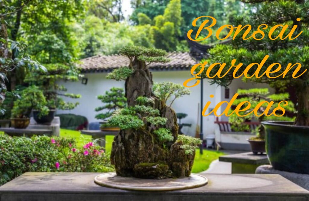 Bonsai garden ideas