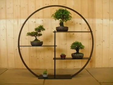 bonsai garden ideas
