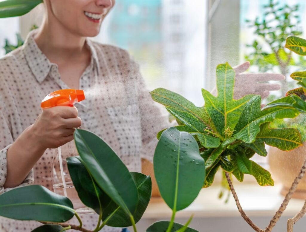5+ Plants Not to Use Neem Oil On? (and how to fix if they get infested by pests?)