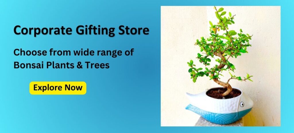 Corporate Gifting Store