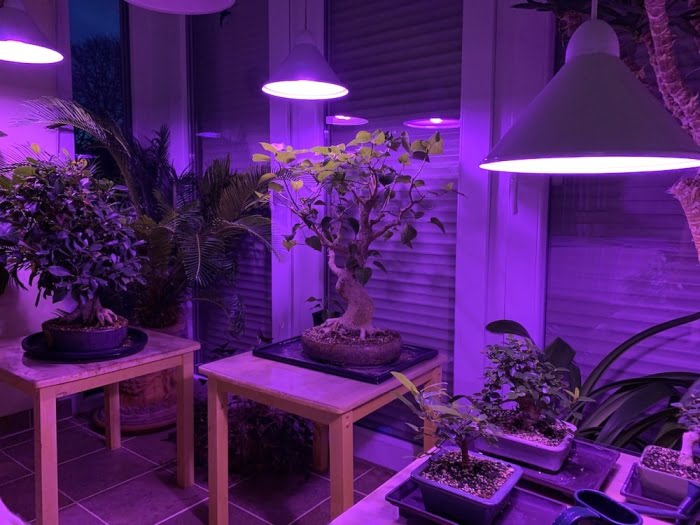 Grow-light